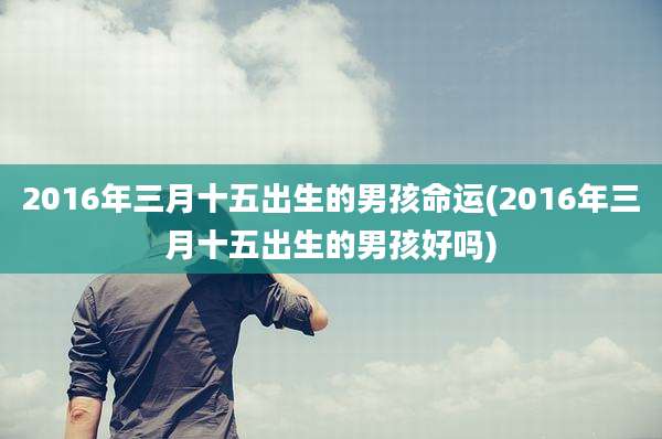 2016年三月十五出生的男孩命运(2016年三月十五出生的男孩好吗)
