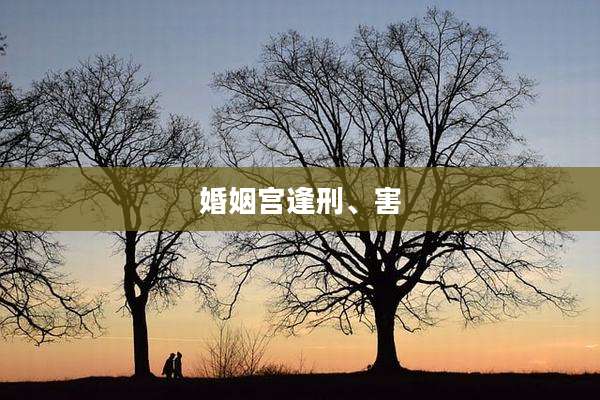 婚姻宫逢刑、害