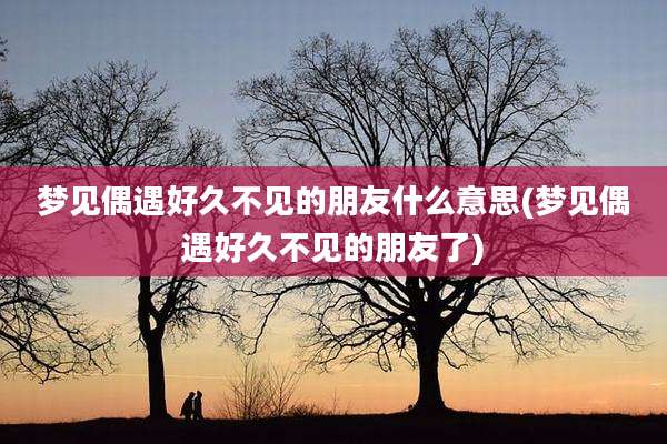 梦见偶遇好久不见的朋友什么意思(梦见偶遇好久不见的朋友了)
