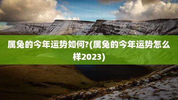 属兔的今年运势如何?(属兔的今年运势怎么样2023)