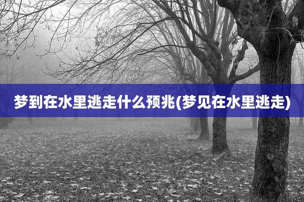 梦到在水里逃走什么预兆(梦见在水里逃走)