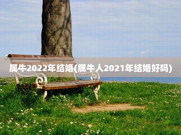 属牛2022年结婚(属牛人2021年结婚好吗)
