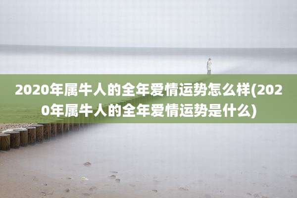 2020年属牛人的全年爱情运势怎么样(2020年属牛人的全年爱情运势是什么)