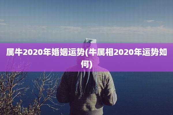属牛2020年婚姻运势(牛属相2020年运势如何)
