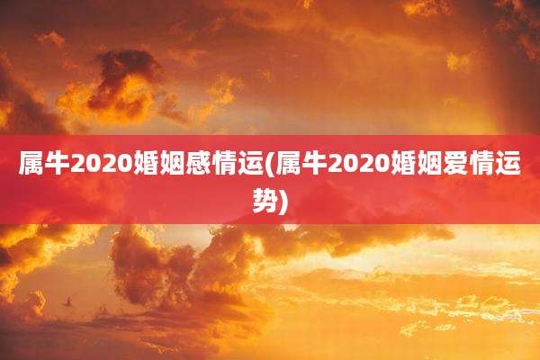 属牛2020婚姻感情运(属牛2020婚姻爱情运势)