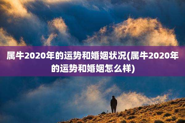 属牛2020年的运势和婚姻状况(属牛2020年的运势和婚姻怎么样)
