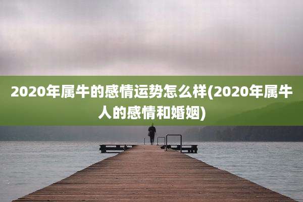 2020年属牛的感情运势怎么样(2020年属牛人的感情和婚姻)