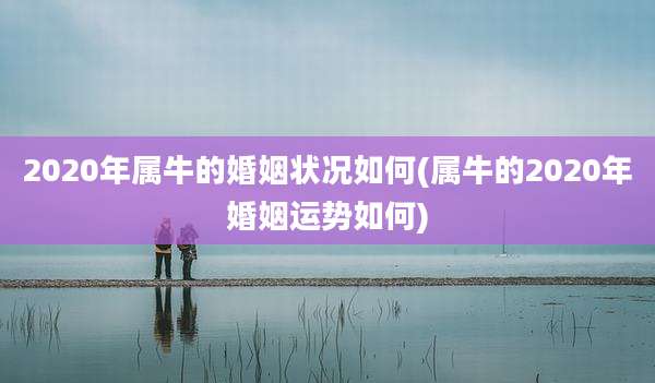2020年属牛的婚姻状况如何(属牛的2020年婚姻运势如何)