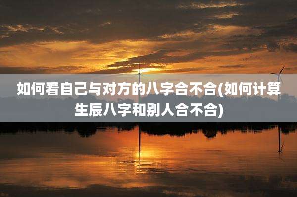 如何看自己与对方的八字合不合(如何计算生辰八字和别人合不合)
