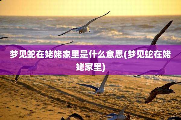梦见蛇在姥姥家里是什么意思(梦见蛇在姥姥家里)