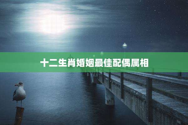 十二生肖婚姻最佳配偶属相