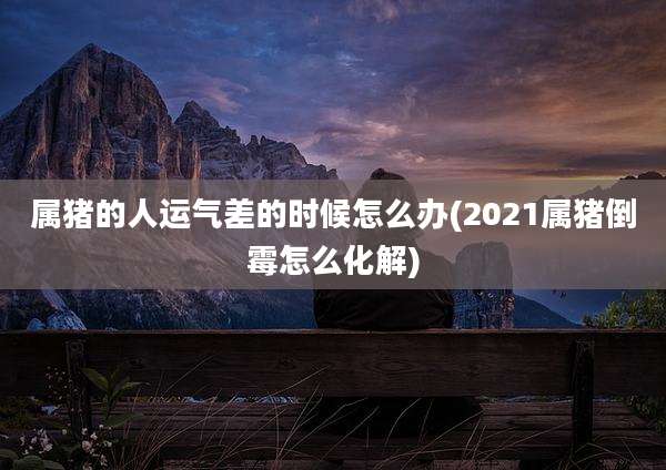 属猪的人运气差的时候怎么办(2021属猪倒霉怎么化解)