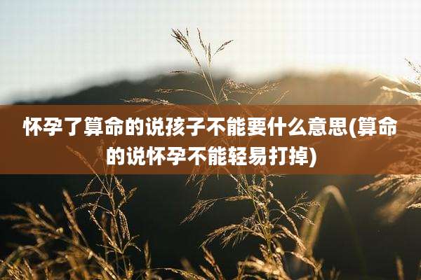 怀孕了算命的说孩子不能要什么意思(算命的说怀孕不能轻易打掉)