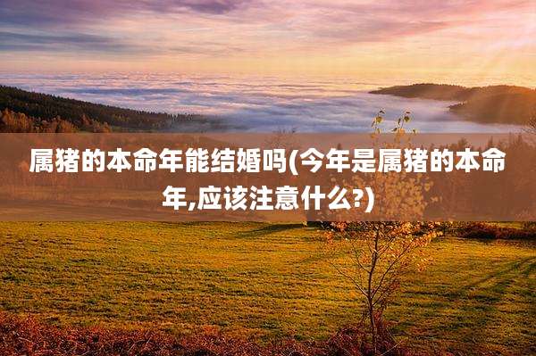 属猪的本命年能结婚吗(今年是属猪的本命年,应该注意什么?)