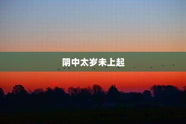阴中太岁未上起