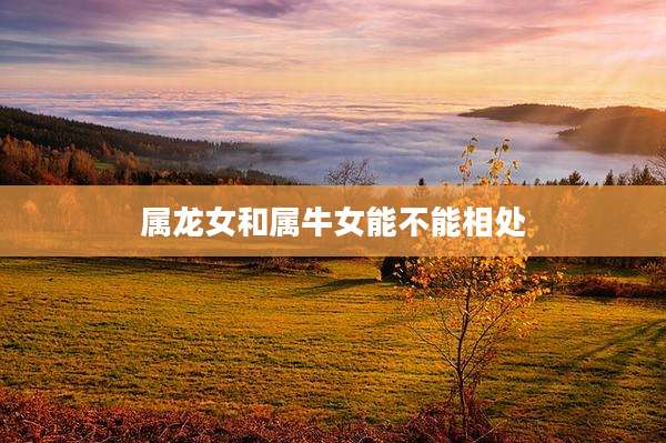 属龙女和属牛女能不能相处
