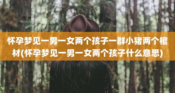 怀孕梦见一男一女两个孩子一群小猪两个棺材(怀孕梦见一男一女两个孩子什么意思)
