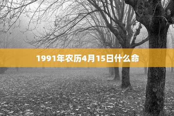 1991年农历4月15日什么命