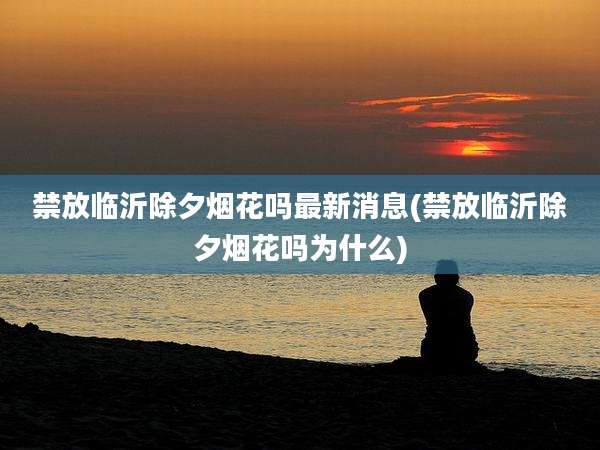 禁放临沂除夕烟花吗最新消息(禁放临沂除夕烟花吗为什么)