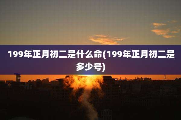 199年正月初二是什么命(199年正月初二是多少号)