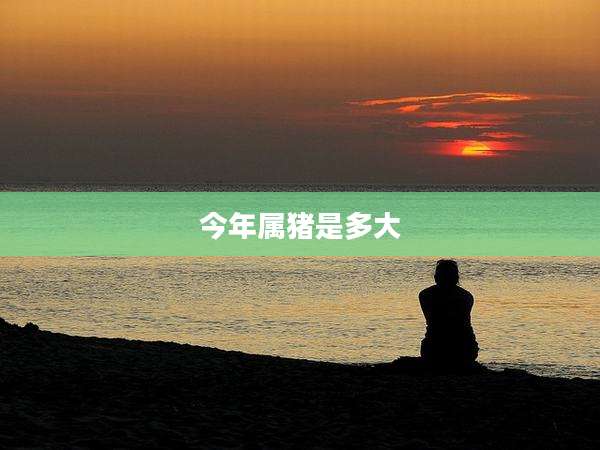 今年属猪是多大