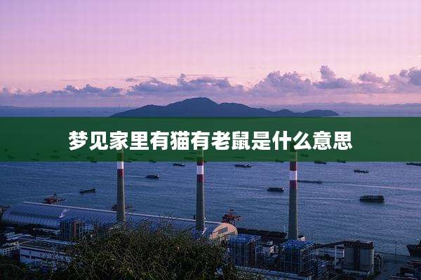 梦见家里有猫有老鼠是什么意思