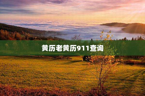 黄历老黄历911查询