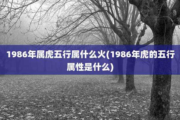 1986年属虎五行属什么火(1986年虎的五行属性是什么)