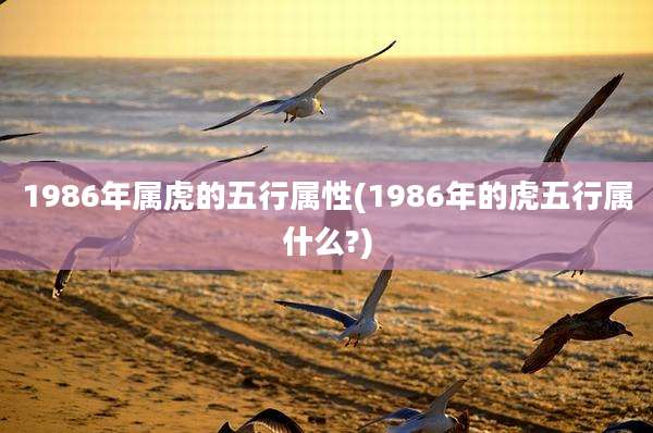 1986年属虎的五行属性(1986年的虎五行属什么?)