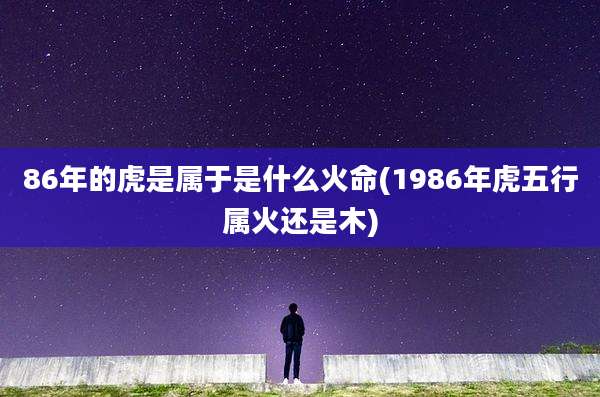 86年的虎是属于是什么火命(1986年虎五行属火还是木)