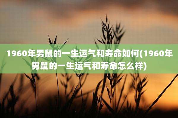 1960年男鼠的一生运气和寿命如何(1960年男鼠的一生运气和寿命怎么样)