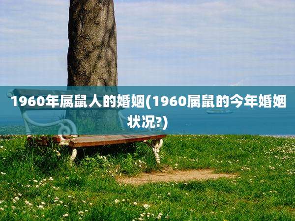 1960年属鼠人的婚姻(1960属鼠的今年婚姻状况?)