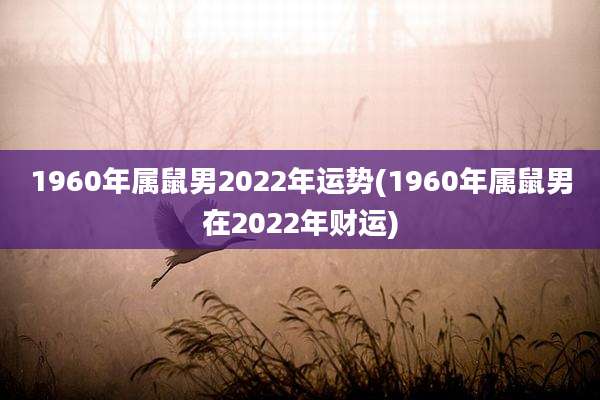 1960年属鼠男2022年运势(1960年属鼠男在2022年财运)