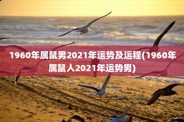1960年属鼠男2021年运势及运程(1960年属鼠人2021年运势男)