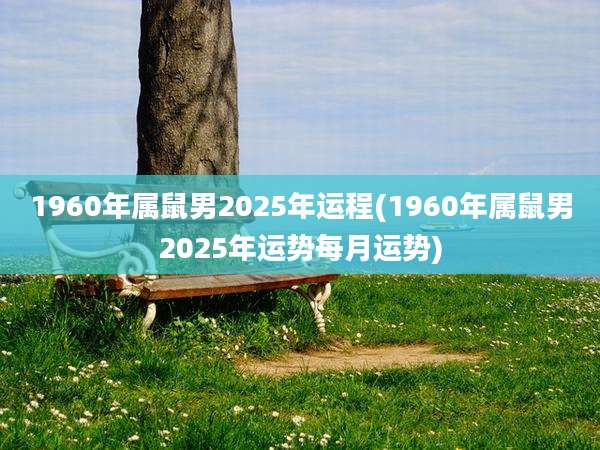 1960年属鼠男2025年运程(1960年属鼠男2025年运势每月运势)