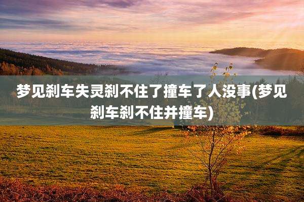 梦见刹车失灵刹不住了撞车了人没事(梦见刹车刹不住并撞车)