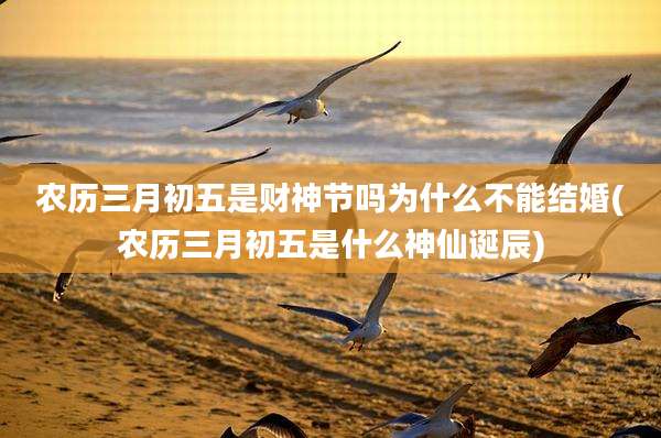 农历三月初五是财神节吗为什么不能结婚(农历三月初五是什么神仙诞辰)