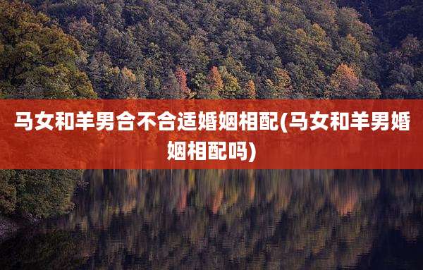 马女和羊男合不合适婚姻相配(马女和羊男婚姻相配吗)