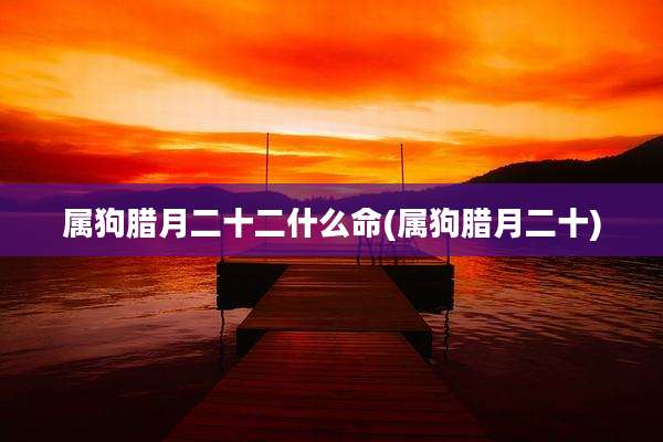 属狗腊月二十二什么命(属狗腊月二十)