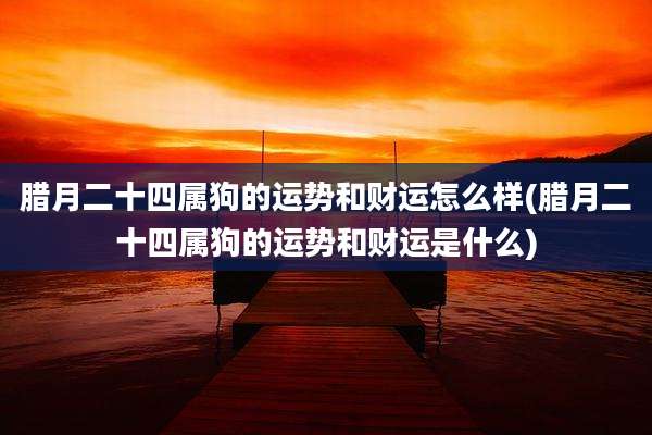 腊月二十四属狗的运势和财运怎么样(腊月二十四属狗的运势和财运是什么)