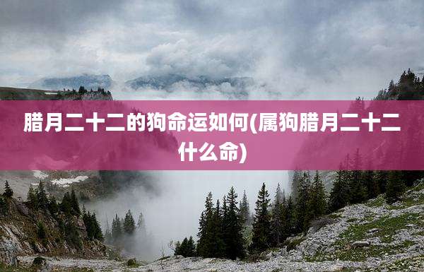 腊月二十二的狗命运如何(属狗腊月二十二什么命)