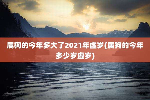 属狗的今年多大了2021年虚岁(属狗的今年多少岁虚岁)