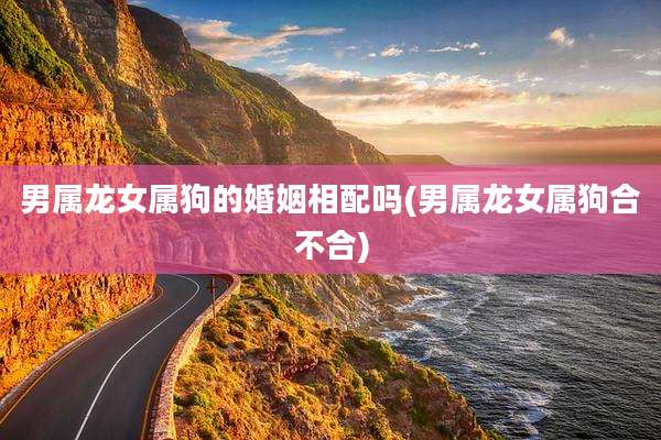 男属龙女属狗的婚姻相配吗(男属龙女属狗合不合)