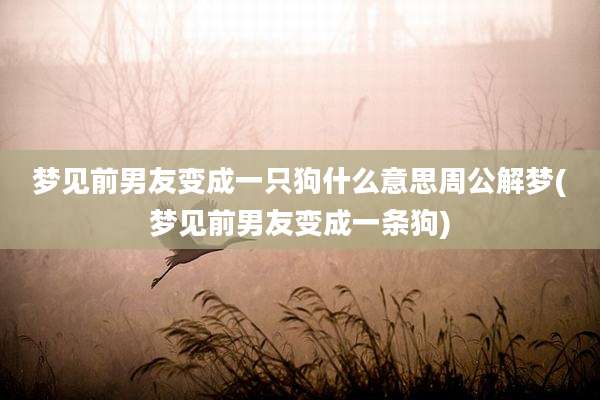 梦见前男友变成一只狗什么意思周公解梦(梦见前男友变成一条狗)