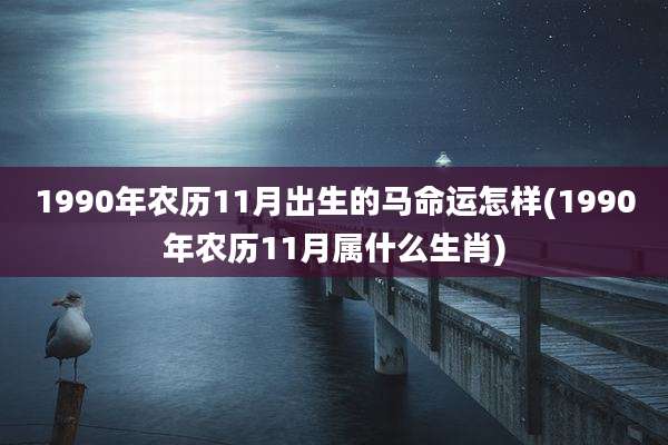1990年农历11月出生的马命运怎样(1990年农历11月属什么生肖)
