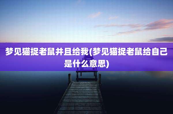 梦见猫捉老鼠并且给我(梦见猫捉老鼠给自己是什么意思)