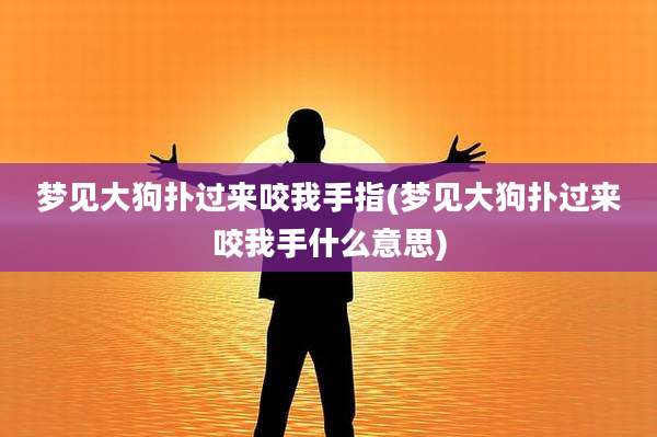 梦见大狗扑过来咬我手指(梦见大狗扑过来咬我手什么意思)