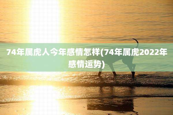 74年属虎人今年感情怎样(74年属虎2022年感情运势)