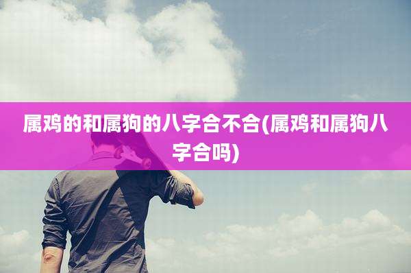 属鸡的和属狗的八字合不合(属鸡和属狗八字合吗)