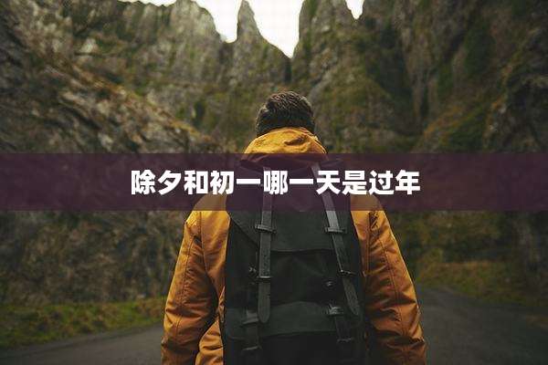 除夕和初一哪一天是过年